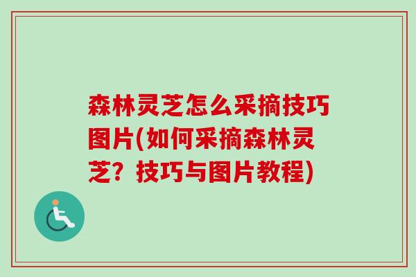森林灵芝怎么采摘技巧图片(如何采摘森林灵芝?技巧与图片教程)-第1张图片-卓越灵芝孢子粉 森林灵芝怎么采摘技巧图片(如何采摘森林灵芝?技巧与图片教程)-第1张图片-卓越灵芝孢子粉