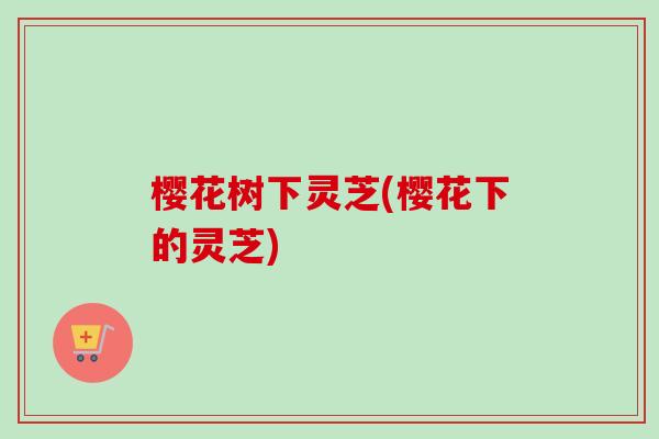 樱花树下灵芝(樱花下的灵芝)-第1张图片-卓越灵芝孢子粉