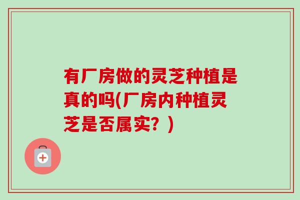 有厂房做的灵芝种植是真的吗(厂房内种植灵芝是否属实?)-第1张图片-卓越灵芝孢子粉 有厂房做的灵芝种植是真的吗(厂房内种植灵芝是否属实?)-第1张图片-卓越灵芝孢子粉