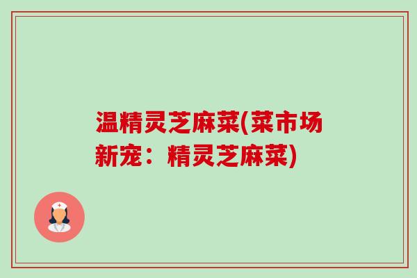 温精灵芝麻菜(菜市场新宠：精灵芝麻菜)-第1张图片-卓越灵芝孢子粉