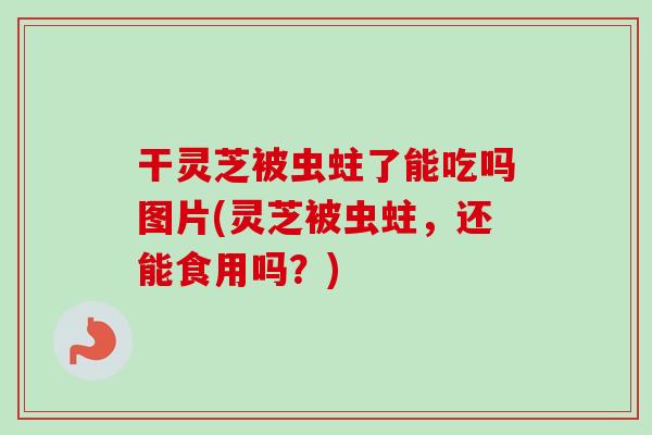 干灵芝被虫蛀了能吃吗图片(灵芝被虫蛀,还能食用吗?)-第1张图片-卓越灵芝孢子粉 干灵芝被虫蛀了能吃吗图片(灵芝被虫蛀,还能食用吗?)-第1张图片-卓越灵芝孢子粉