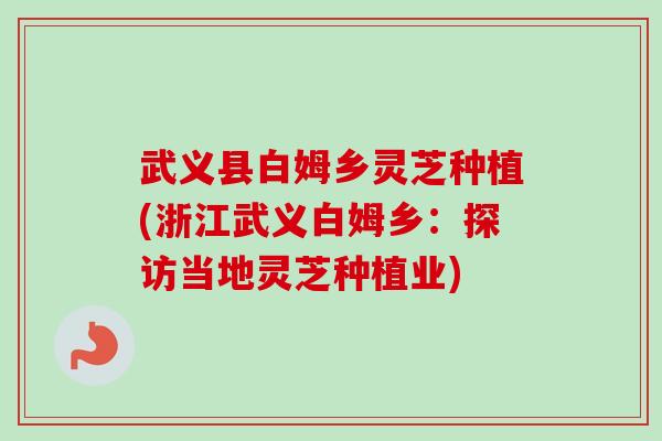 武义县白姆乡灵芝种植(浙江武义白姆乡：探访当地灵芝种植业)-第1张图片-卓越灵芝孢子粉