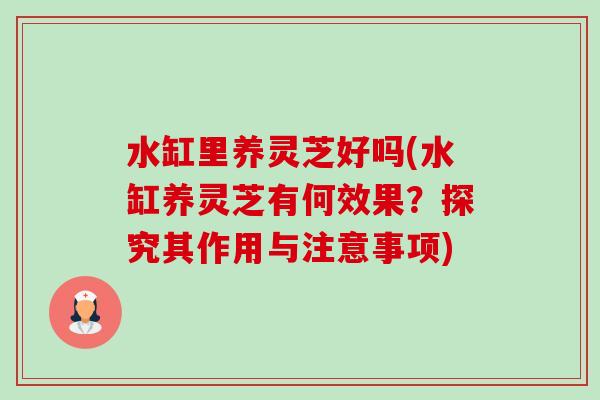 水缸里养灵芝好吗(水缸养灵芝有何效果?探究其作用与注意事项)-第1张图片-卓越灵芝孢子粉 水缸里养灵芝好吗(水缸养灵芝有何效果?探究其作用与注意事项)-第1张图片-卓越灵芝孢子粉