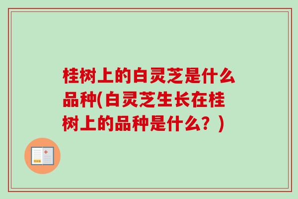 桂树上的白灵芝是什么品种(白灵芝生长在桂树上的品种是什么?)-第1张图片-卓越灵芝孢子粉 桂树上的白灵芝是什么品种(白灵芝生长在桂树上的品种是什么?)-第1张图片-卓越灵芝孢子粉