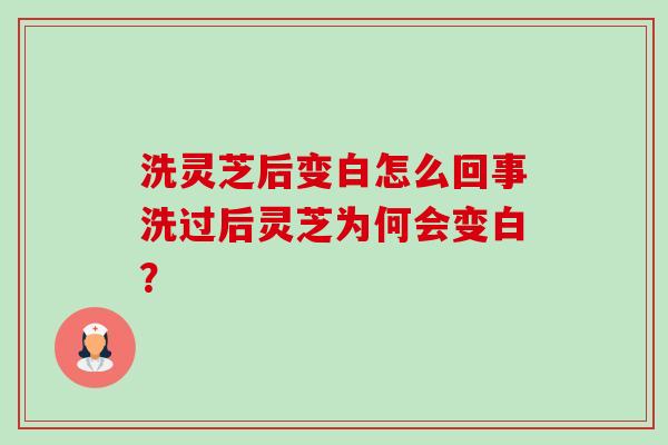 洗灵芝后变白怎么回事洗过后灵芝为何会变白?-第1张图片-卓越灵芝孢子粉 洗灵芝后变白怎么回事洗过后灵芝为何会变白?-第1张图片-卓越灵芝孢子粉