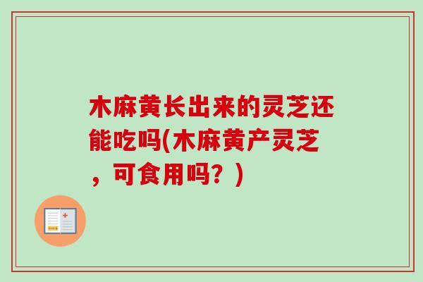 木麻黄长出来的灵芝还能吃吗(木麻黄产灵芝,可食用吗?)-第1张图片-卓越灵芝孢子粉 木麻黄长出来的灵芝还能吃吗(木麻黄产灵芝,可食用吗?)-第1张图片-卓越灵芝孢子粉