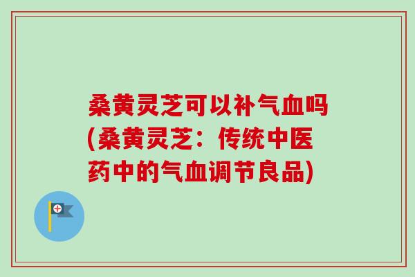 桑黄灵芝可以补气血吗(桑黄灵芝：传统中医药中的气血调节良品)-第1张图片-卓越灵芝孢子粉
