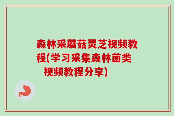森林采蘑菇灵芝视频教程(学习采集森林菌类 视频教程分享)-第1张图片-卓越灵芝孢子粉 森林采蘑菇灵芝视频教程(学习采集森林菌类 视频教程分享)-第1张图片-卓越灵芝孢子粉