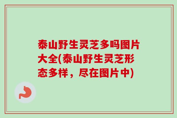 泰山野生灵芝多吗图片大全(泰山野生灵芝形态多样,尽在图片中)-第1张图片-卓越灵芝孢子粉 泰山野生灵芝多吗图片大全(泰山野生灵芝形态多样,尽在图片中)-第1张图片-卓越灵芝孢子粉
