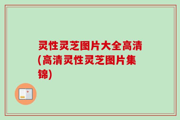 灵性灵芝图片大全高清(高清灵性灵芝图片集锦)-第1张图片-卓越灵芝孢子粉 灵性灵芝图片大全高清(高清灵性灵芝图片集锦)-第1张图片-卓越灵芝孢子粉