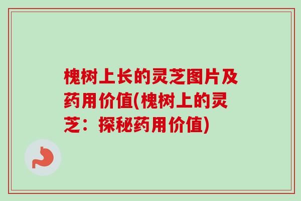 槐树上长的灵芝图片及药用价值(槐树上的灵芝:探秘药用价值)-第1张图片-卓越灵芝孢子粉 槐树上长的灵芝图片及药用价值(槐树上的灵芝:探秘药用价值)-第1张图片-卓越灵芝孢子粉
