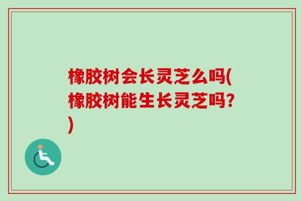 橡胶树会长灵芝么吗(橡胶树能生长灵芝吗?)-第1张图片-卓越灵芝孢子粉 橡胶树会长灵芝么吗(橡胶树能生长灵芝吗?)-第1张图片-卓越灵芝孢子粉