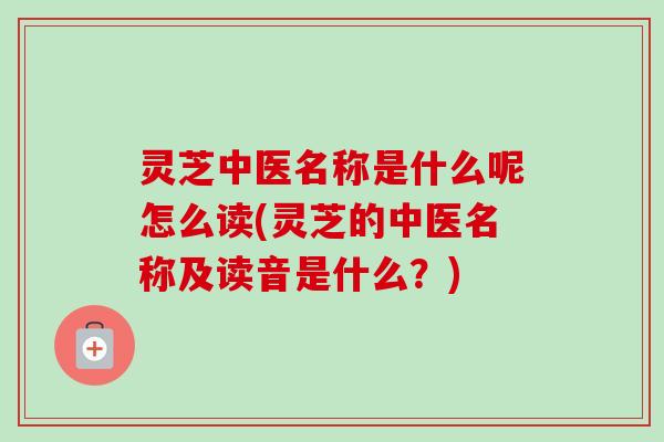 灵芝中医名称是什么呢怎么读(灵芝的中医名称及读音是什么？)-第1张图片-卓越灵芝孢子粉