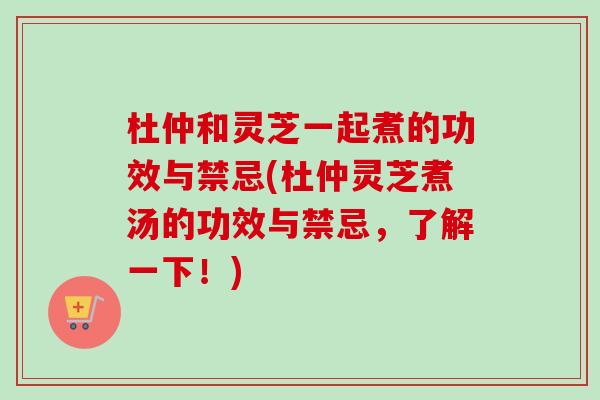 杜仲和灵芝一起煮的功效与禁忌(杜仲灵芝煮汤的功效与禁忌,了解一下!)-第1张图片-卓越灵芝孢子粉 杜仲和灵芝一起煮的功效与禁忌(杜仲灵芝煮汤的功效与禁忌,了解一下!)-第1张图片-卓越灵芝孢子粉
