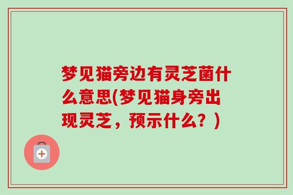 梦见猫旁边有灵芝菌什么意思(梦见猫身旁出现灵芝,预示什么?)-第1张图片-卓越灵芝孢子粉 梦见猫旁边有灵芝菌什么意思(梦见猫身旁出现灵芝,预示什么?)-第1张图片-卓越灵芝孢子粉