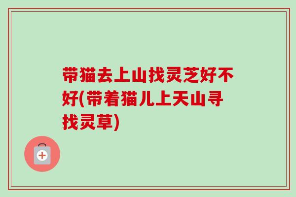 带猫去上山找灵芝好不好(带着猫儿上天山寻找灵草)-第1张图片-卓越灵芝孢子粉 带猫去上山找灵芝好不好(带着猫儿上天山寻找灵草)-第1张图片-卓越灵芝孢子粉