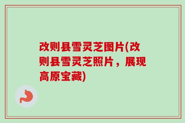 改则县雪灵芝图片(改则县雪灵芝照片，展现高原宝藏)-第1张图片-卓越灵芝孢子粉