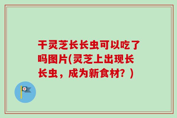 干灵芝长长虫可以吃了吗图片(灵芝上出现长长虫,成为新食材?)-第1张图片-卓越灵芝孢子粉 干灵芝长长虫可以吃了吗图片(灵芝上出现长长虫,成为新食材?)-第1张图片-卓越灵芝孢子粉