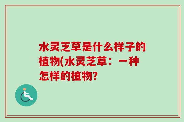 水灵芝草是什么样子的植物(水灵芝草:一种怎样的植物?-第1张图片-卓越灵芝孢子粉 水灵芝草是什么样子的植物(水灵芝草:一种怎样的植物?-第1张图片-卓越灵芝孢子粉