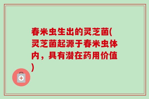 春米虫生出的灵芝菌(灵芝菌起源于春米虫体内，具有潜在药用价值)-第1张图片-卓越灵芝孢子粉
