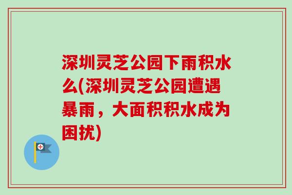 深圳灵芝公园下雨积水么(深圳灵芝公园遭遇暴雨，大面积积水成为困扰)-第1张图片-卓越灵芝孢子粉