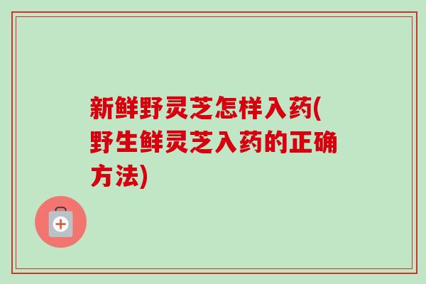 新鲜野灵芝怎样入药(野生鲜灵芝入药的正确方法)-第1张图片-卓越灵芝孢子粉 新鲜野灵芝怎样入药(野生鲜灵芝入药的正确方法)-第1张图片-卓越灵芝孢子粉