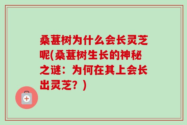 桑葚树为什么会长灵芝呢(桑葚树生长的神秘之谜:为何在其上会长出灵芝?)-第1张图片-卓越灵芝孢子粉 桑葚树为什么会长灵芝呢(桑葚树生长的神秘之谜:为何在其上会长出灵芝?)-第1张图片-卓越灵芝孢子粉