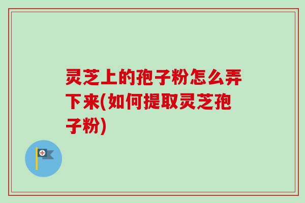灵芝上的孢子粉怎么弄下来(如何提取灵芝孢子粉)-第1张图片-卓越灵芝孢子粉 灵芝上的孢子粉怎么弄下来(如何提取灵芝孢子粉)-第1张图片-卓越灵芝孢子粉