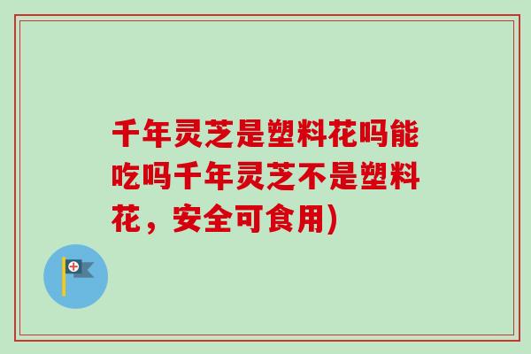 千年灵芝是塑料花吗能吃吗千年灵芝不是塑料花，安全可食用)-第1张图片-卓越灵芝孢子粉