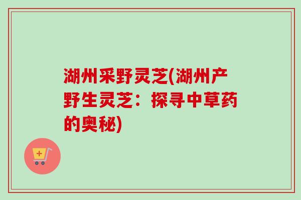 湖州采野灵芝(湖州产野生灵芝:探寻中草药的奥秘)-第1张图片-卓越灵芝孢子粉 湖州采野灵芝(湖州产野生灵芝:探寻中草药的奥秘)-第1张图片-卓越灵芝孢子粉