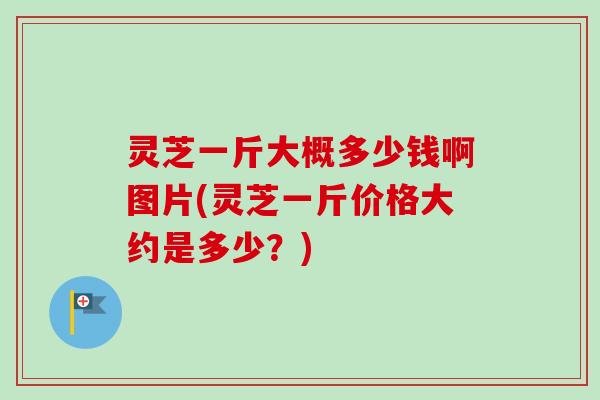 灵芝一斤大概多少钱啊图片(灵芝一斤价格大约是多少?)-第1张图片-卓越灵芝孢子粉 灵芝一斤大概多少钱啊图片(灵芝一斤价格大约是多少?)-第1张图片-卓越灵芝孢子粉