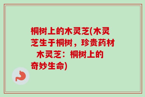 桐树上的木灵芝(木灵芝生于桐树,珍贵药材 木灵芝:桐树上的奇妙生命)-第1张图片-卓越灵芝孢子粉 桐树上的木灵芝(木灵芝生于桐树,珍贵药材 木灵芝:桐树上的奇妙生命)-第1张图片-卓越灵芝孢子粉