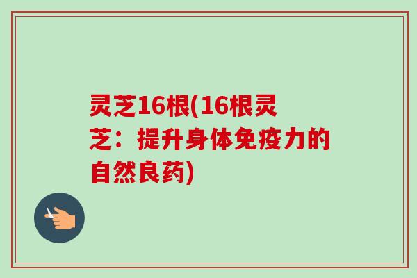 灵芝16根(16根灵芝:提升身体免疫力的自然良药)-第1张图片-卓越灵芝孢子粉 灵芝16根(16根灵芝:提升身体免疫力的自然良药)-第1张图片-卓越灵芝孢子粉