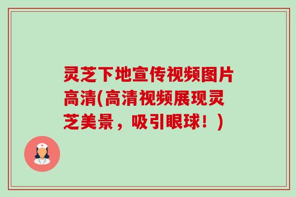 灵芝下地宣传视频图片高清(高清视频展现灵芝美景,吸引眼球!)-第1张图片-卓越灵芝孢子粉 灵芝下地宣传视频图片高清(高清视频展现灵芝美景,吸引眼球!)-第1张图片-卓越灵芝孢子粉