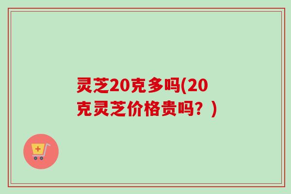 灵芝20克多吗(20克灵芝价格贵吗?)-第1张图片-卓越灵芝孢子粉 灵芝20克多吗(20克灵芝价格贵吗?)-第1张图片-卓越灵芝孢子粉
