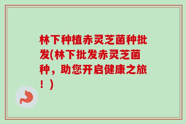 林下种植赤灵芝菌种批发(林下批发赤灵芝菌种，助您开启健康之旅！)-第1张图片-卓越灵芝孢子粉