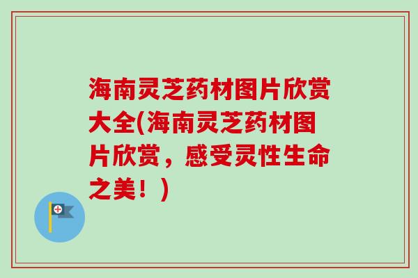 海南灵芝药材图片欣赏大全(海南灵芝药材图片欣赏,感受灵性生命之美!)-第1张图片-卓越灵芝孢子粉 海南灵芝药材图片欣赏大全(海南灵芝药材图片欣赏,感受灵性生命之美!)-第1张图片-卓越灵芝孢子粉