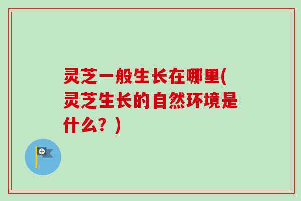 灵芝一般生长在哪里(灵芝生长的自然环境是什么？)-第1张图片-卓越灵芝孢子粉