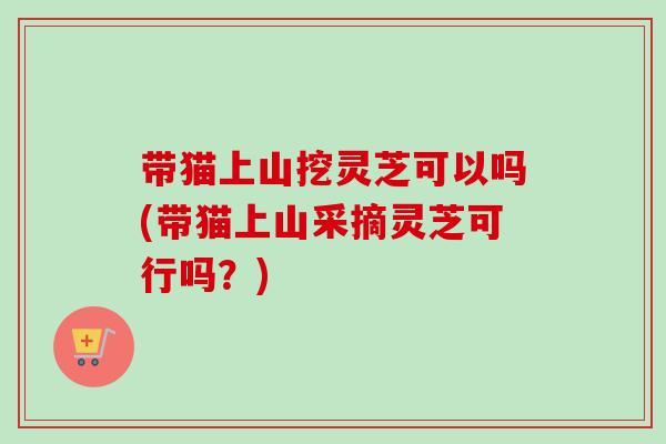 带猫上山挖灵芝可以吗(带猫上山采摘灵芝可行吗？)-第1张图片-卓越灵芝孢子粉