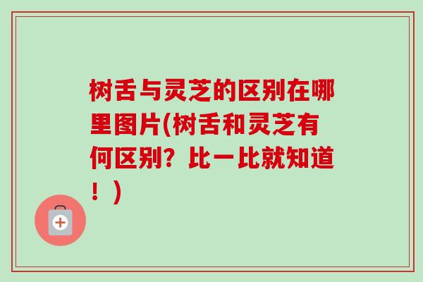 树舌与灵芝的区别在哪里图片(树舌和灵芝有何区别?比一比就知道!)-第1张图片-卓越灵芝孢子粉 树舌与灵芝的区别在哪里图片(树舌和灵芝有何区别?比一比就知道!)-第1张图片-卓越灵芝孢子粉