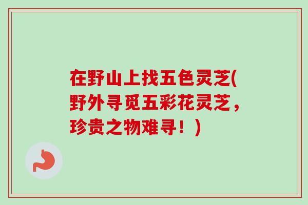 在野山上找五色灵芝(野外寻觅五彩花灵芝,珍贵之物难寻!)-第1张图片-卓越灵芝孢子粉 在野山上找五色灵芝(野外寻觅五彩花灵芝,珍贵之物难寻!)-第1张图片-卓越灵芝孢子粉