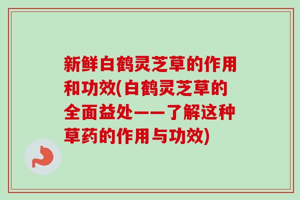 新鲜白鹤灵芝草的作用和功效(白鹤灵芝草的全面益处——了解这种草药的作用与功效)-第1张图片-卓越灵芝孢子粉 新鲜白鹤灵芝草的作用和功效(白鹤灵芝草的全面益处——了解这种草药的作用与功效)-第1张图片-卓越灵芝孢子粉
