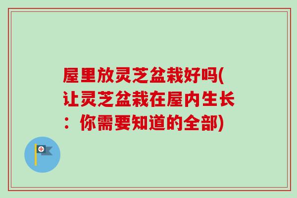 屋里放灵芝盆栽好吗(让灵芝盆栽在屋内生长:你需要知道的全部)-第1张图片-卓越灵芝孢子粉 屋里放灵芝盆栽好吗(让灵芝盆栽在屋内生长:你需要知道的全部)-第1张图片-卓越灵芝孢子粉