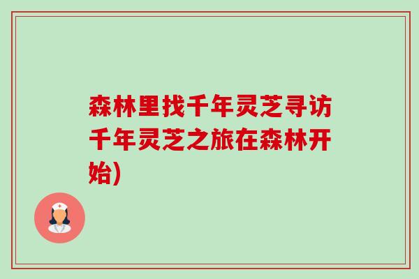 森林里找千年灵芝寻访千年灵芝之旅在森林开始)-第1张图片-卓越灵芝孢子粉 森林里找千年灵芝寻访千年灵芝之旅在森林开始)-第1张图片-卓越灵芝孢子粉