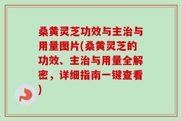 桑黄灵芝功效与主治与用量图片(桑黄灵芝的功效、主治与用量全解密,详细指南一键查看)-第1张图片-卓越灵芝孢子粉 桑黄灵芝功效与主治与用量图片(桑黄灵芝的功效、主治与用量全解密,详细指南一键查看)-第1张图片-卓越灵芝孢子粉