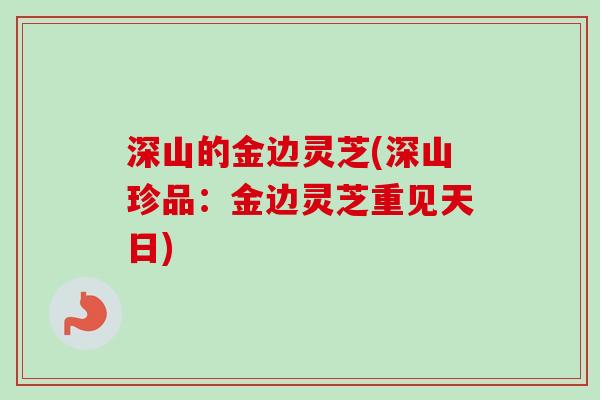 深山的金边灵芝(深山珍品：金边灵芝重见天日)-第1张图片-卓越灵芝孢子粉