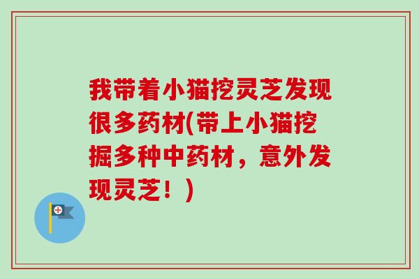 我带着小猫挖灵芝发现很多药材(带上小猫挖掘多种中药材,意外发现灵芝!)-第1张图片-卓越灵芝孢子粉 我带着小猫挖灵芝发现很多药材(带上小猫挖掘多种中药材,意外发现灵芝!)-第1张图片-卓越灵芝孢子粉
