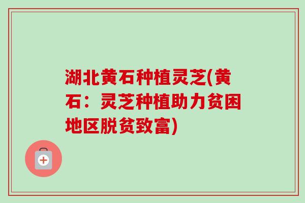 湖北黄石种植灵芝(黄石:灵芝种植助力贫困地区脱贫致富)-第1张图片-卓越灵芝孢子粉 湖北黄石种植灵芝(黄石:灵芝种植助力贫困地区脱贫致富)-第1张图片-卓越灵芝孢子粉