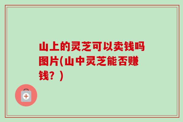 山上的灵芝可以卖钱吗图片(山中灵芝能否赚钱?)-第1张图片-卓越灵芝孢子粉 山上的灵芝可以卖钱吗图片(山中灵芝能否赚钱?)-第1张图片-卓越灵芝孢子粉