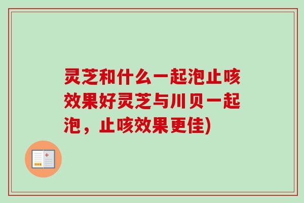 灵芝和什么一起泡止咳效果好灵芝与川贝一起泡,止咳效果更佳)-第1张图片-卓越灵芝孢子粉 灵芝和什么一起泡止咳效果好灵芝与川贝一起泡,止咳效果更佳)-第1张图片-卓越灵芝孢子粉
